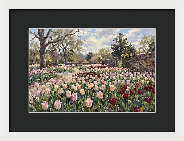 Tulip Haven Tranquility