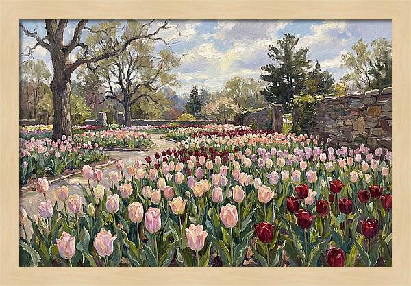 Tulip Haven Tranquility