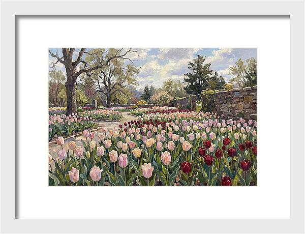 Tulip Haven Tranquility