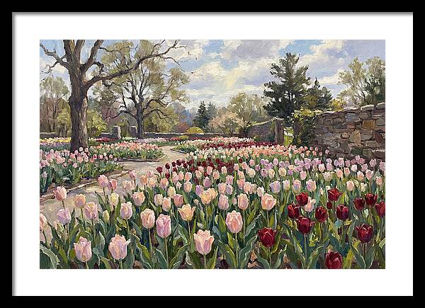 Tulip Haven Tranquility
