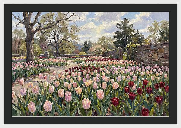 Tulip Haven Tranquility
