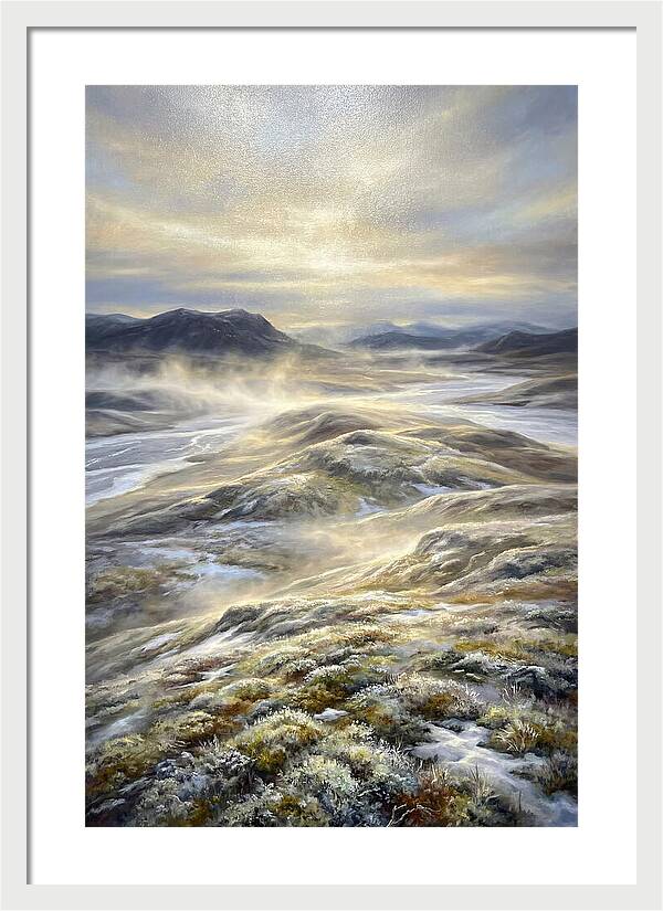 Tundra Landscape