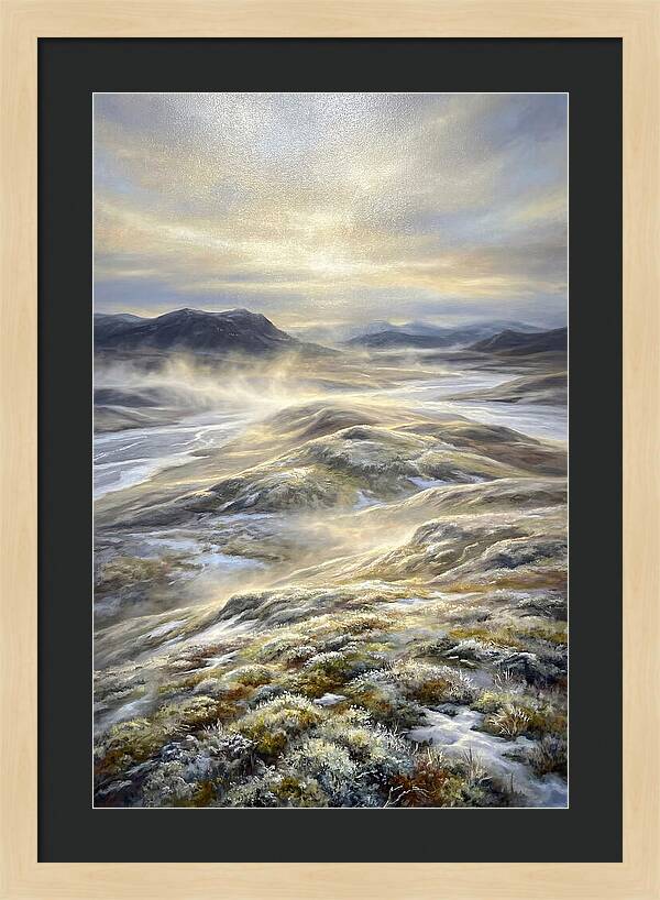 Tundra Landscape
