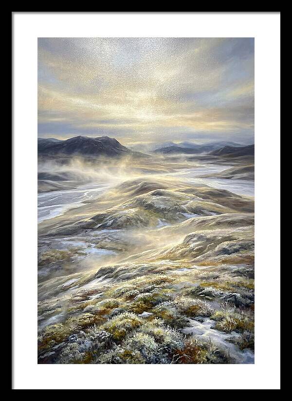 Tundra Landscape