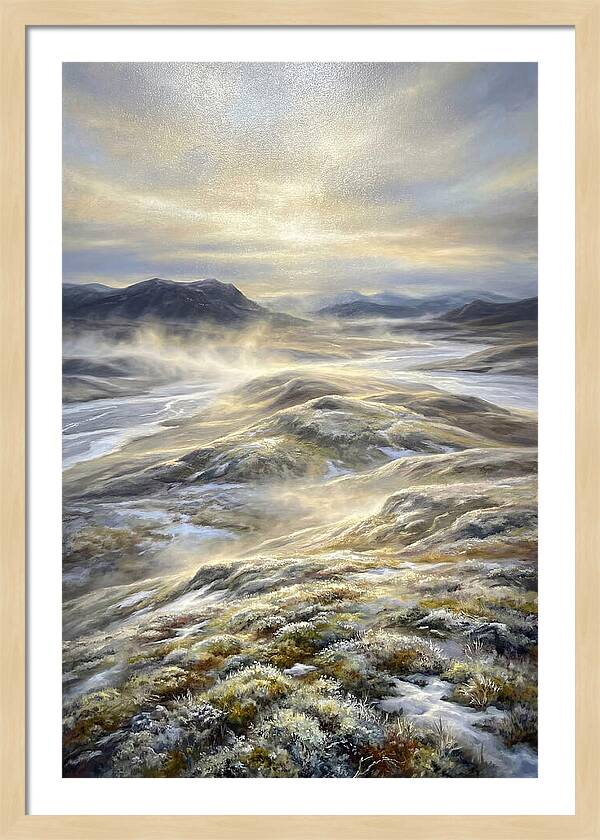 Tundra Landscape