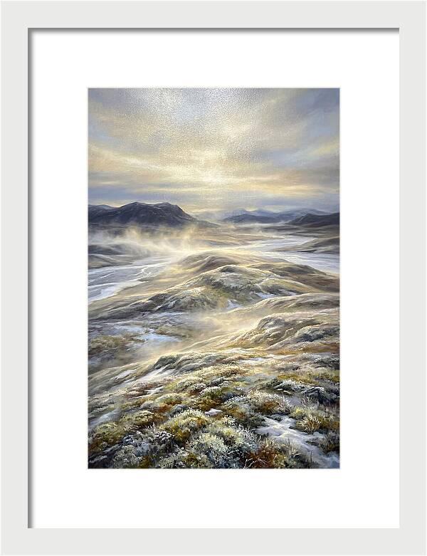 Tundra Landscape