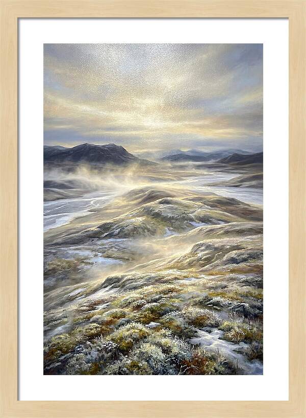 Tundra Landscape