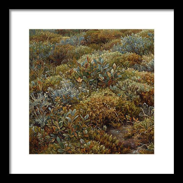 Tundra Moss Landscape