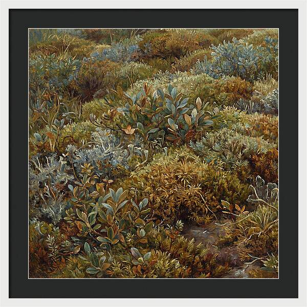 Tundra Moss Landscape