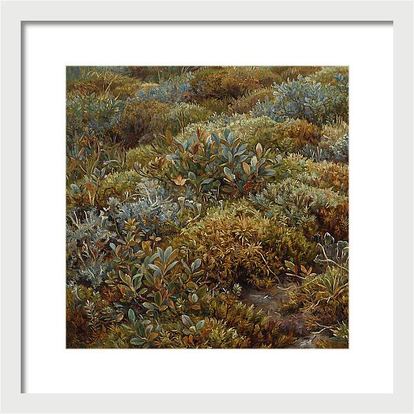 Tundra Moss Landscape