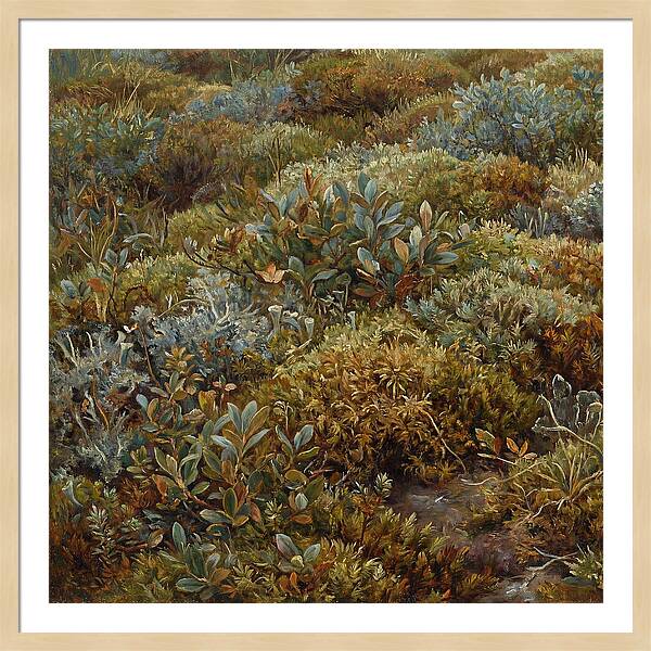 Tundra Moss Landscape
