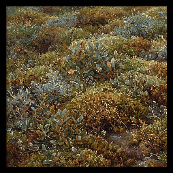 Tundra Moss Landscape