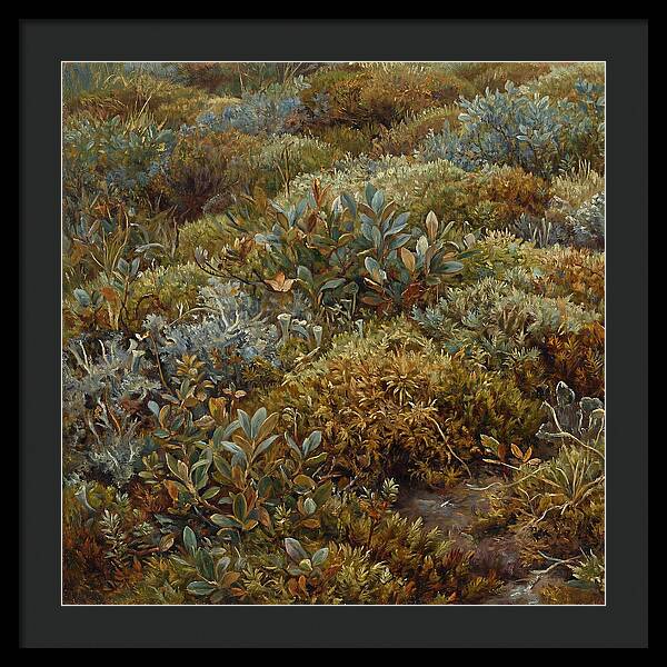 Tundra Moss Landscape