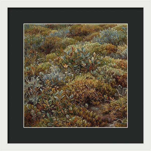 Tundra Moss Landscape