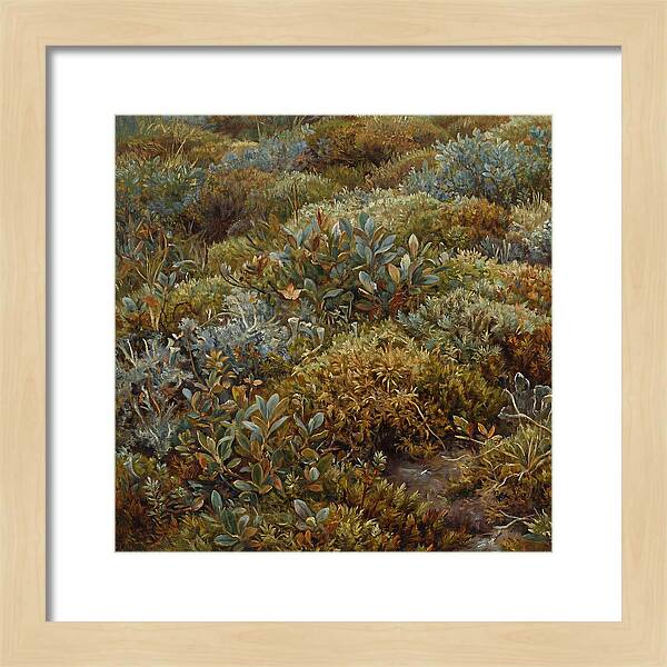 Tundra Moss Landscape