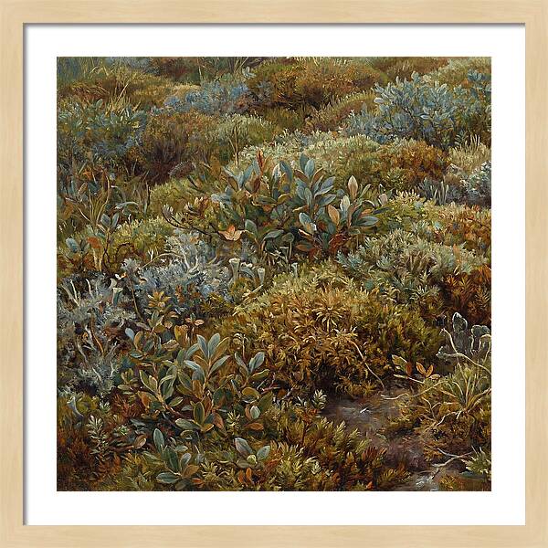 Tundra Moss Landscape