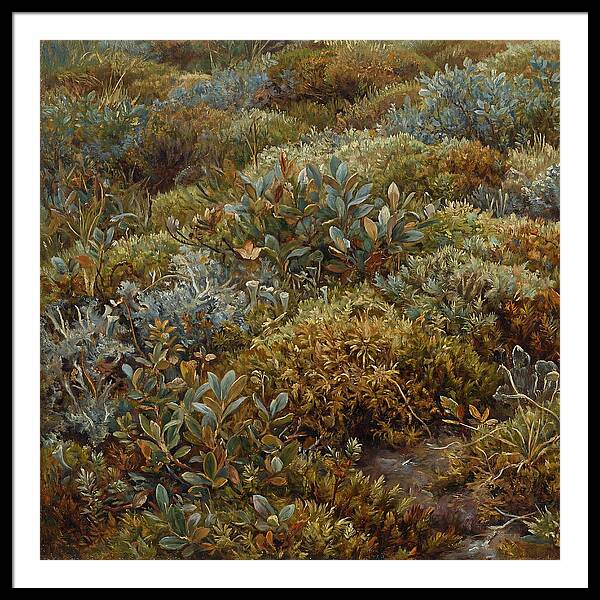 Tundra Moss Landscape