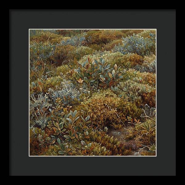 Tundra Moss Landscape