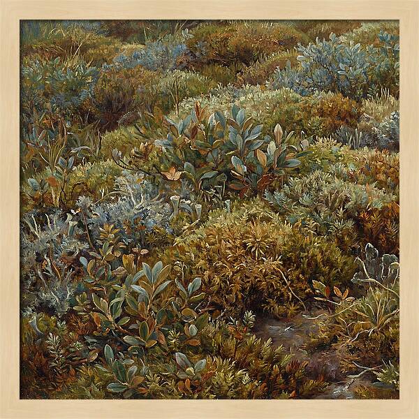 Tundra Moss Landscape