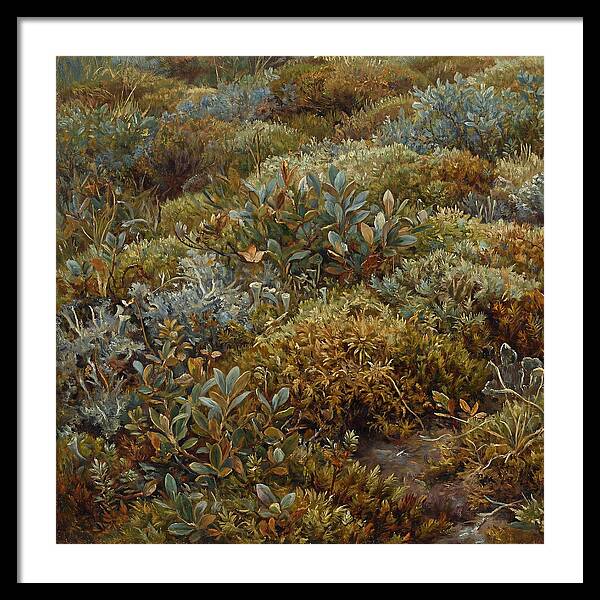 Tundra Moss Landscape