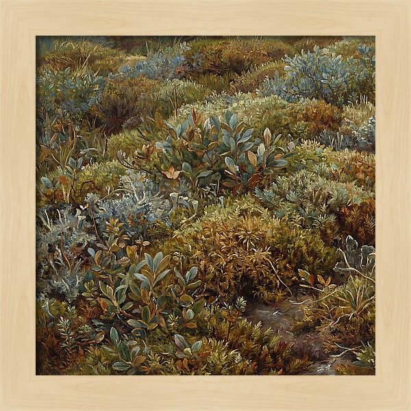 Tundra Moss Landscape