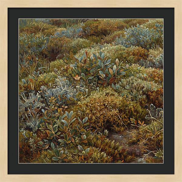 Tundra Moss Landscape