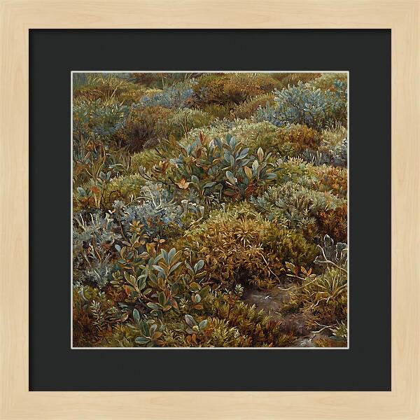 Tundra Moss Landscape