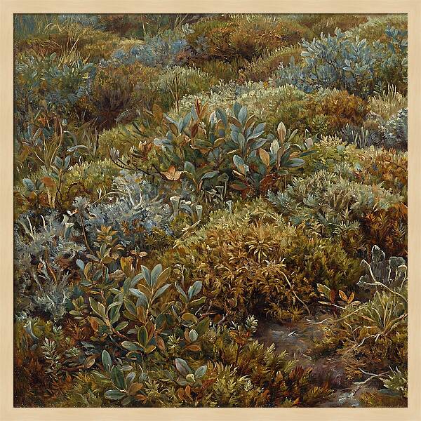 Tundra Moss Landscape