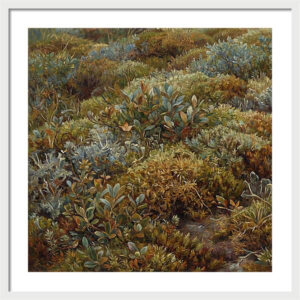 Tundra Moss Landscape