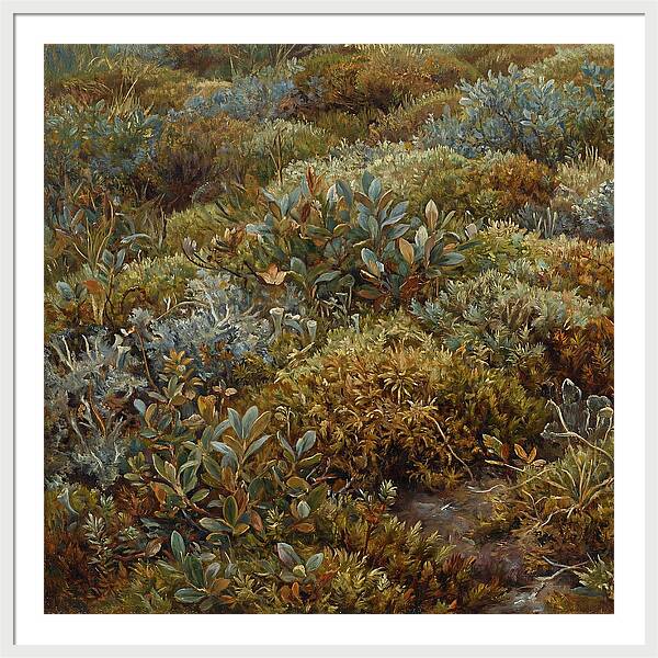 Tundra Moss Landscape
