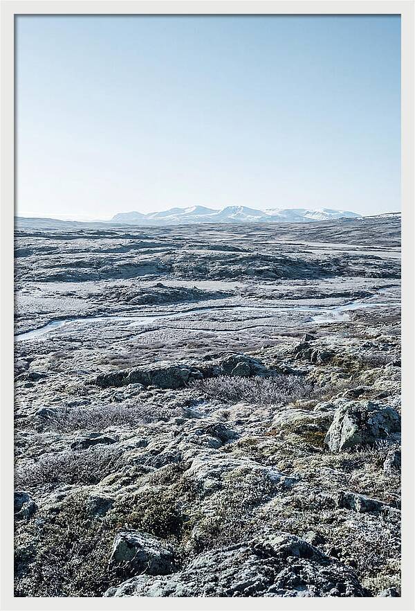 Tundra Plateau Stretching Endlessly