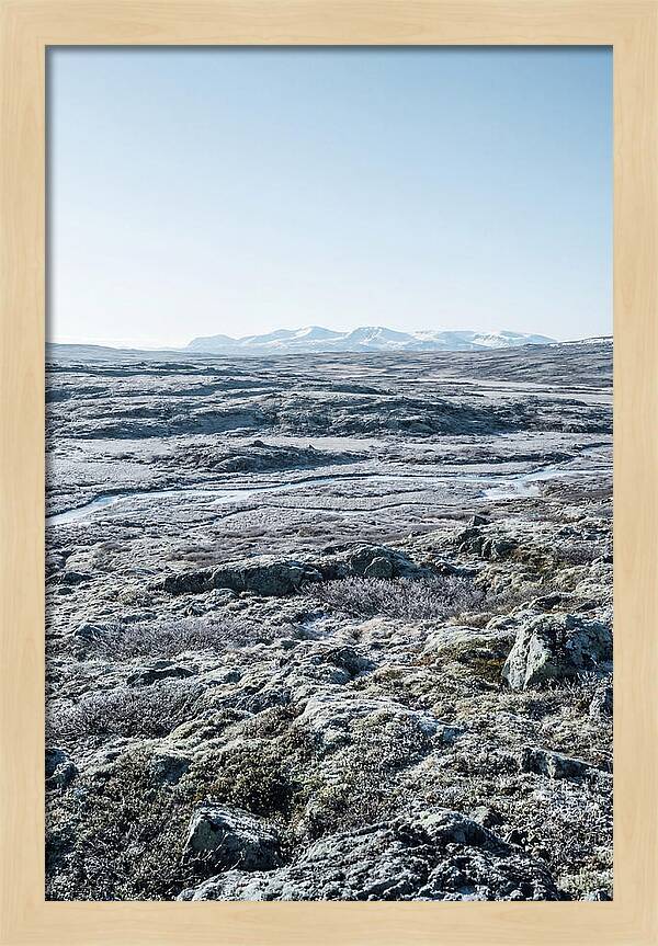 Tundra Plateau Stretching Endlessly