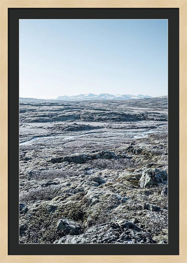 Tundra Plateau Stretching Endlessly