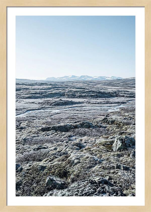 Tundra Plateau Stretching Endlessly