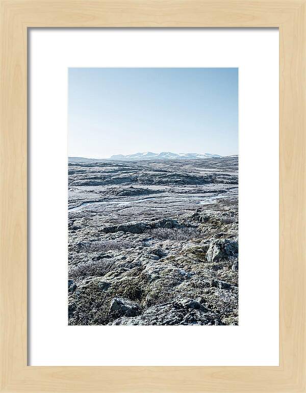 Tundra Plateau Stretching Endlessly