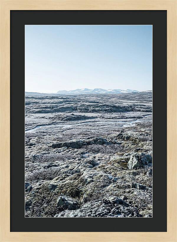 Tundra Plateau Stretching Endlessly