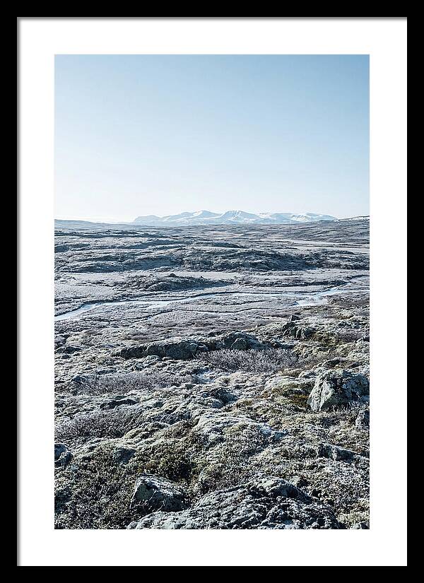 Tundra Plateau Stretching Endlessly