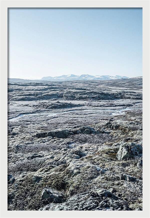 Tundra Plateau Stretching Endlessly