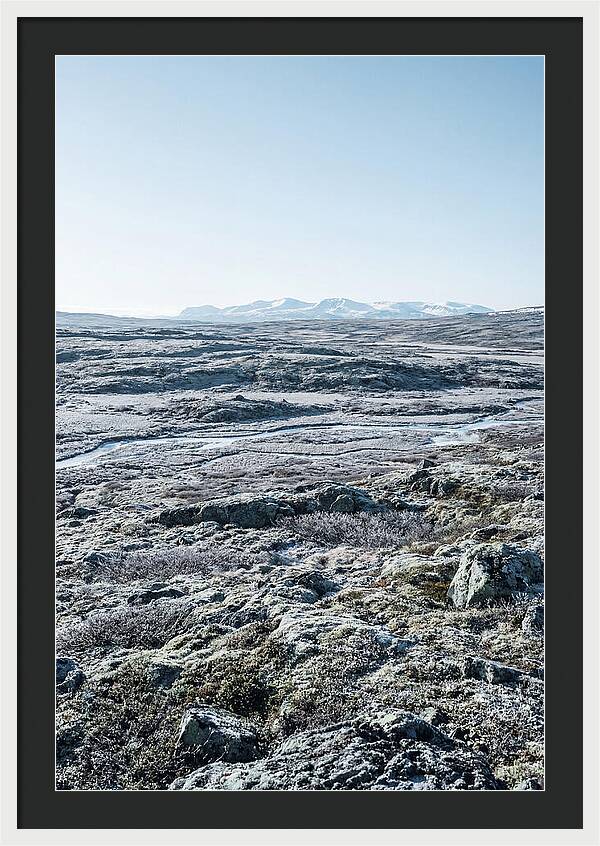 Tundra Plateau Stretching Endlessly
