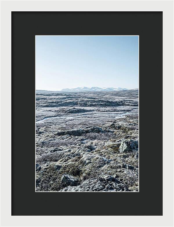 Tundra Plateau Stretching Endlessly