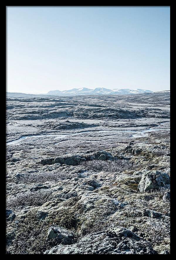 Tundra Plateau Stretching Endlessly