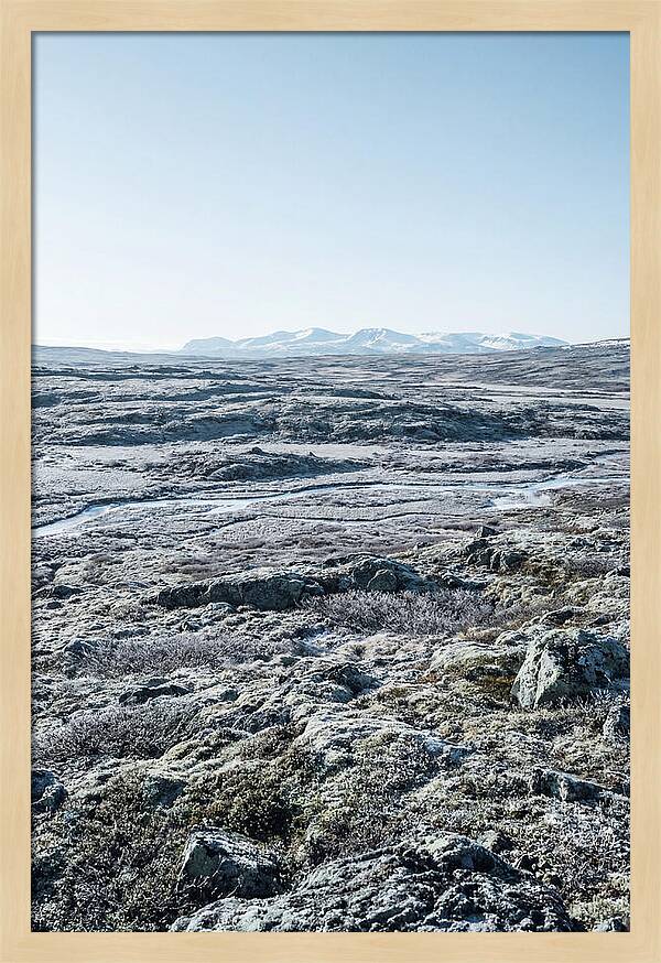 Tundra Plateau Stretching Endlessly