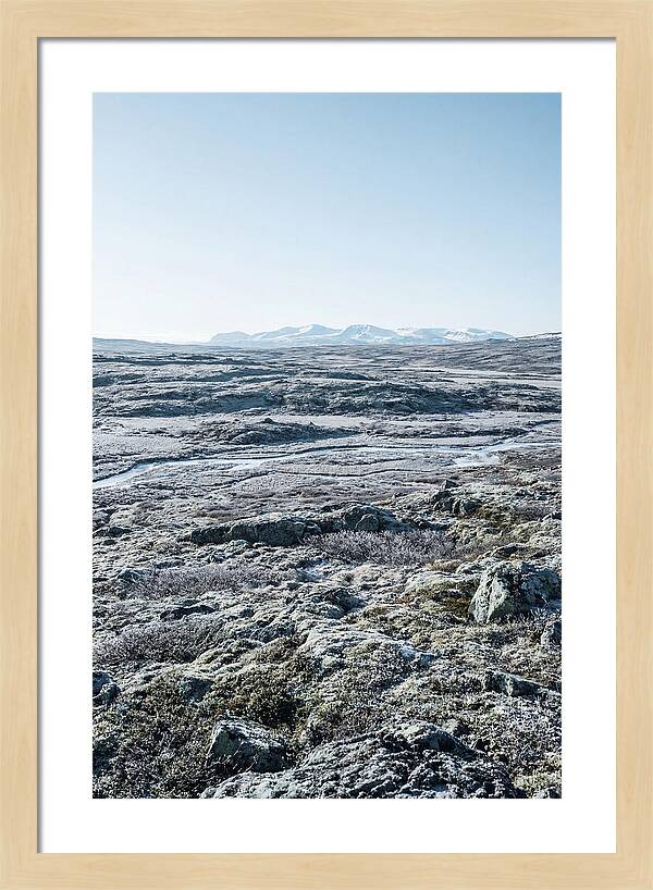 Tundra Plateau Stretching Endlessly