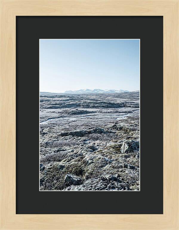 Tundra Plateau Stretching Endlessly