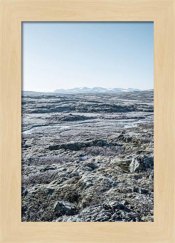 Tundra Plateau Stretching Endlessly
