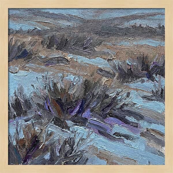 Tundra Serenity In Winter