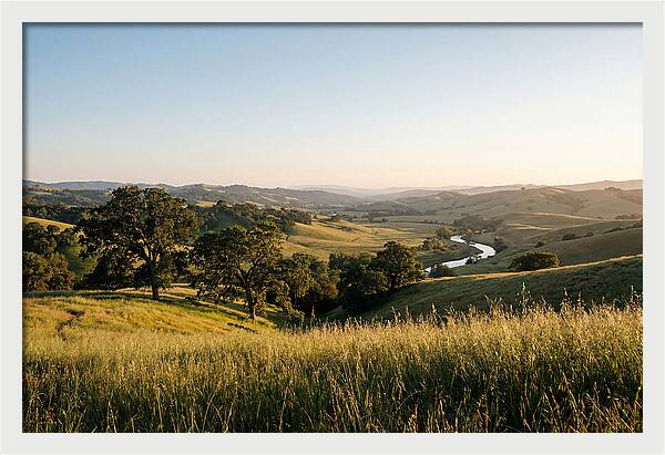 Tunica Hills Serenity