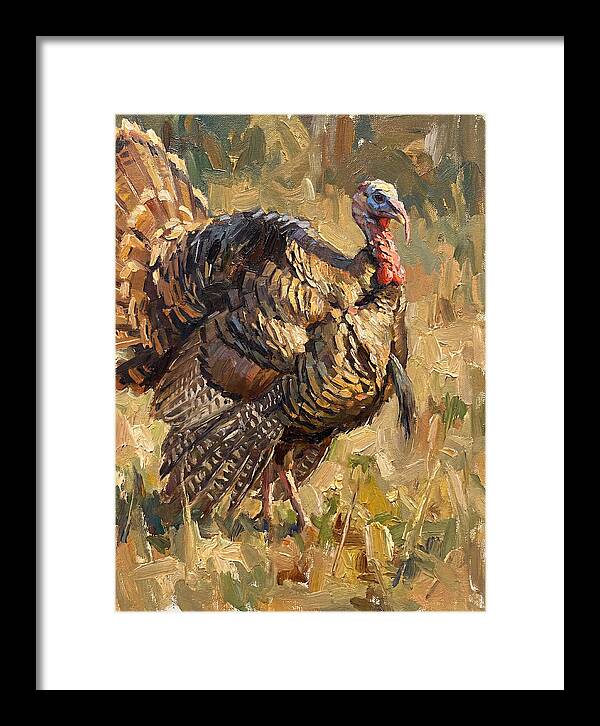 Turkey In Natural Habitat