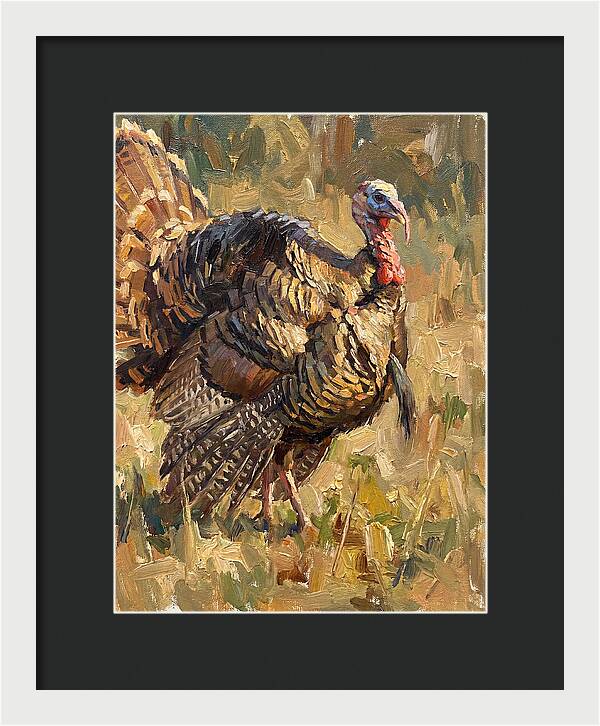 Turkey In Natural Habitat