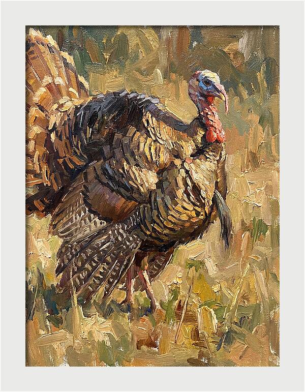 Turkey In Natural Habitat